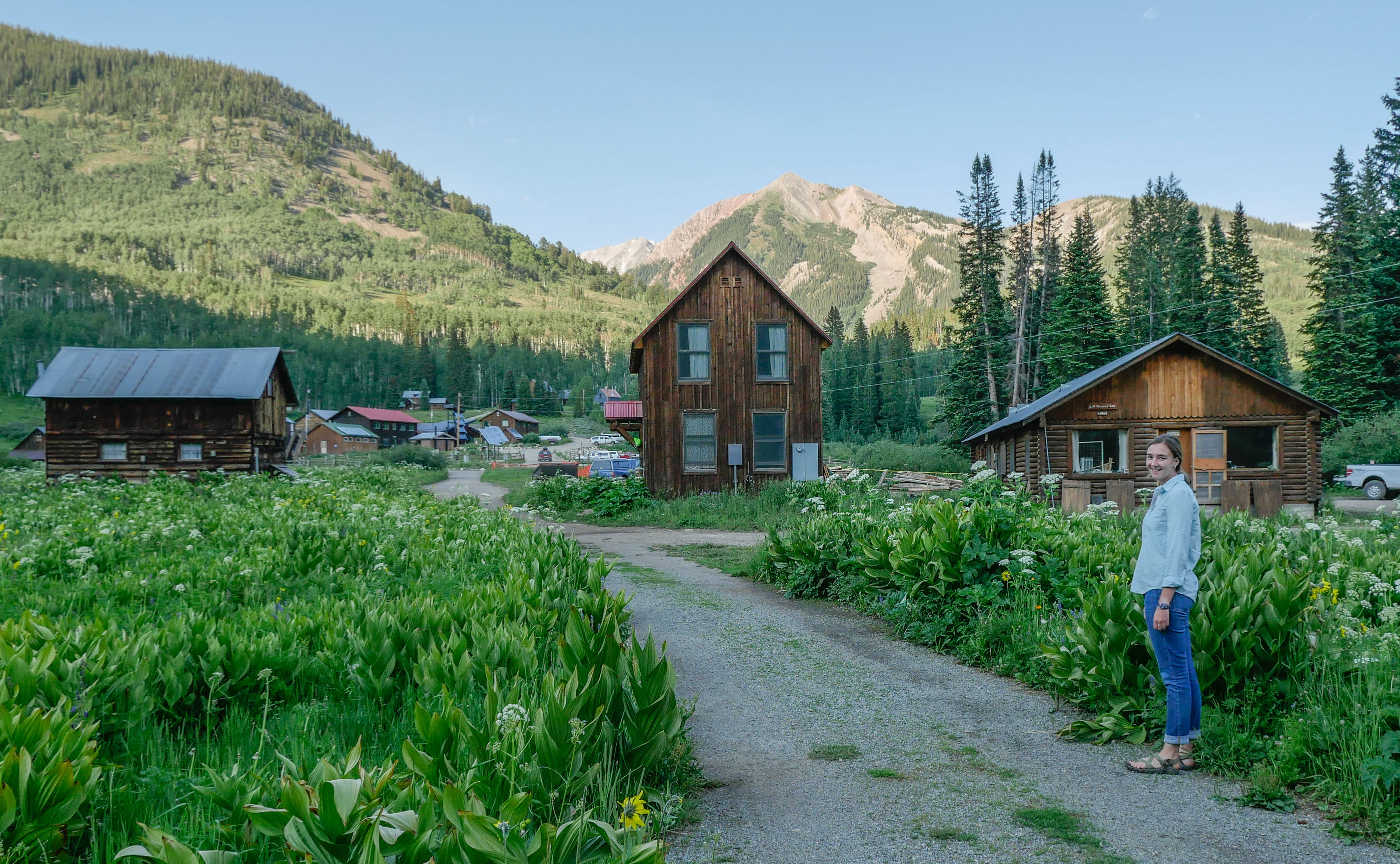 List Detail CampVine