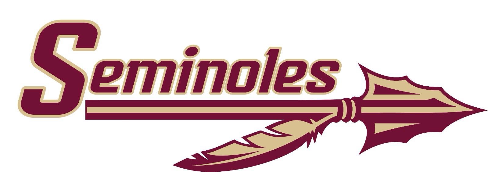 Rochester Seminole Baseball